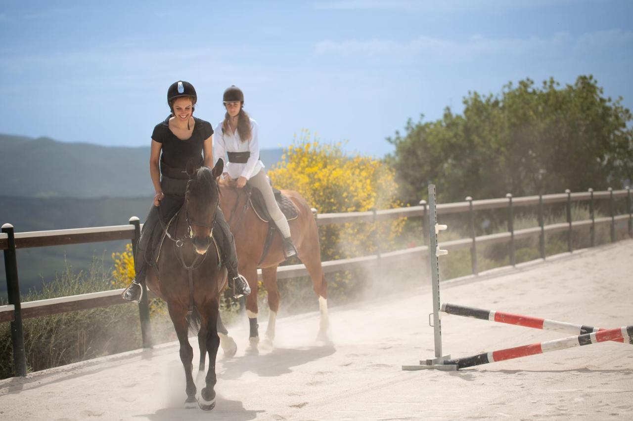 Podere Val D'Orcia - Tuscany Equestrian Sarteano Kültér fotó