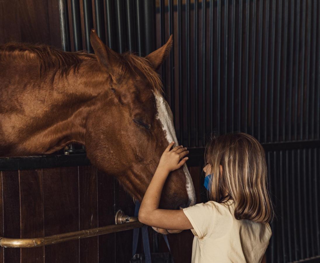 Podere Val D'Orcia - Tuscany Equestrian Sarteano Kültér fotó